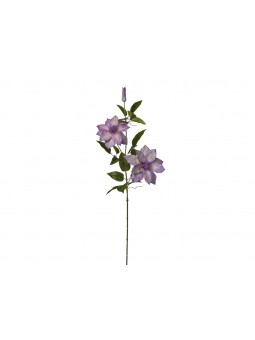 CLEMATIS 22X86CM X3 VIOLA 2FV2648 205