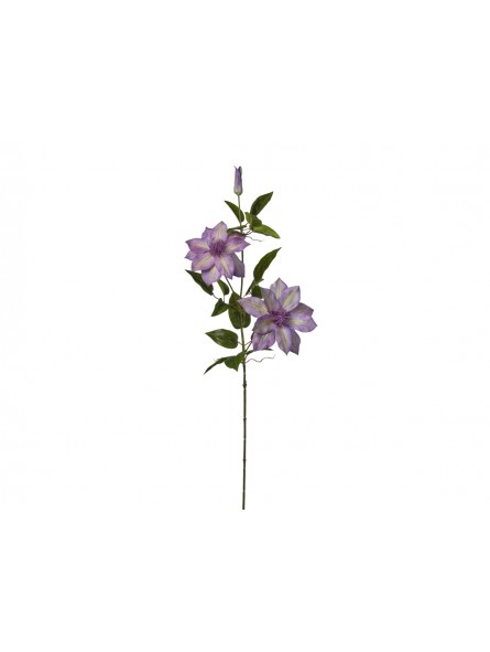 CLEMATIS 22X86CM X3 VIOLA 2FV2648 205