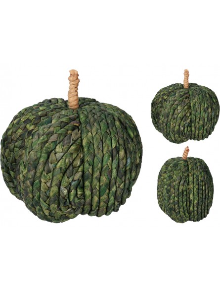 ZUCCA VERDE 20CM 2 ASS. YZB008570