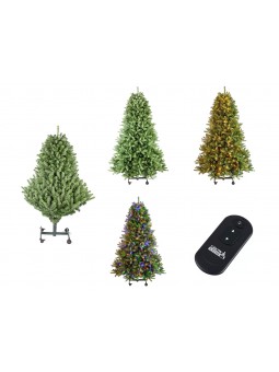 ALBERO POLY HUBART GROW 225CM 152CM 64048