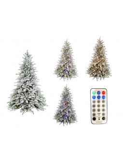 ALBERO POLY STUART PREL 225CM 163CM 64147