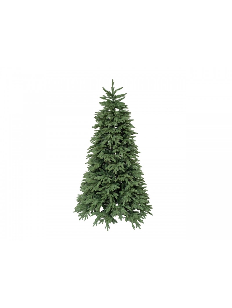 ALBERO CLINTON H.180CM NAT01787